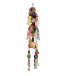 Adventure Bound Rainbow Twirl Parrot Toy